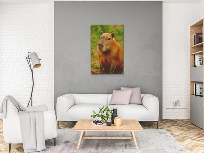 Diamond Painting - Capybara i skoven