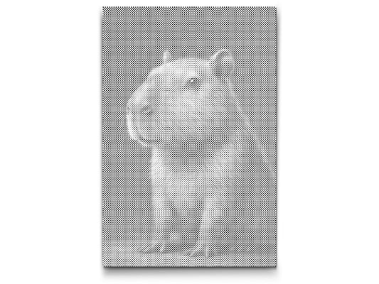 Mal-med-prikker -  Capybara i skoven