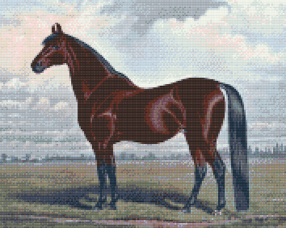 Diamond Painting - Majestic Horse