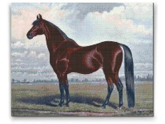 Diamond Painting - Majestic Horse