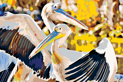 Paint by Numbers - Pelikaner