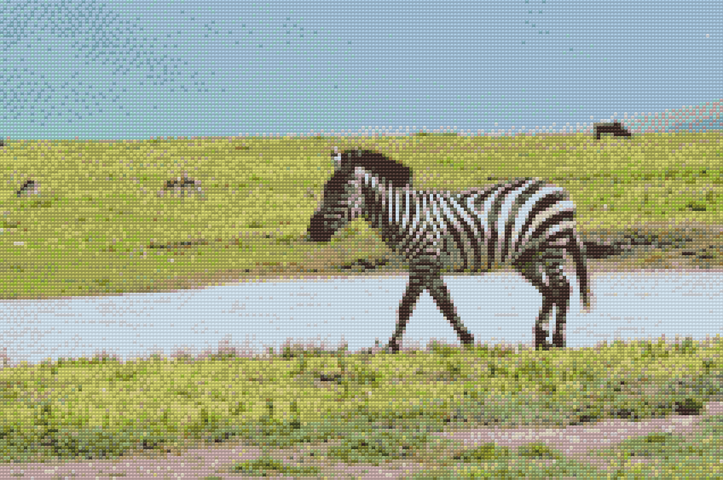 Diamond Painting - Serengeti Nationalpark 2