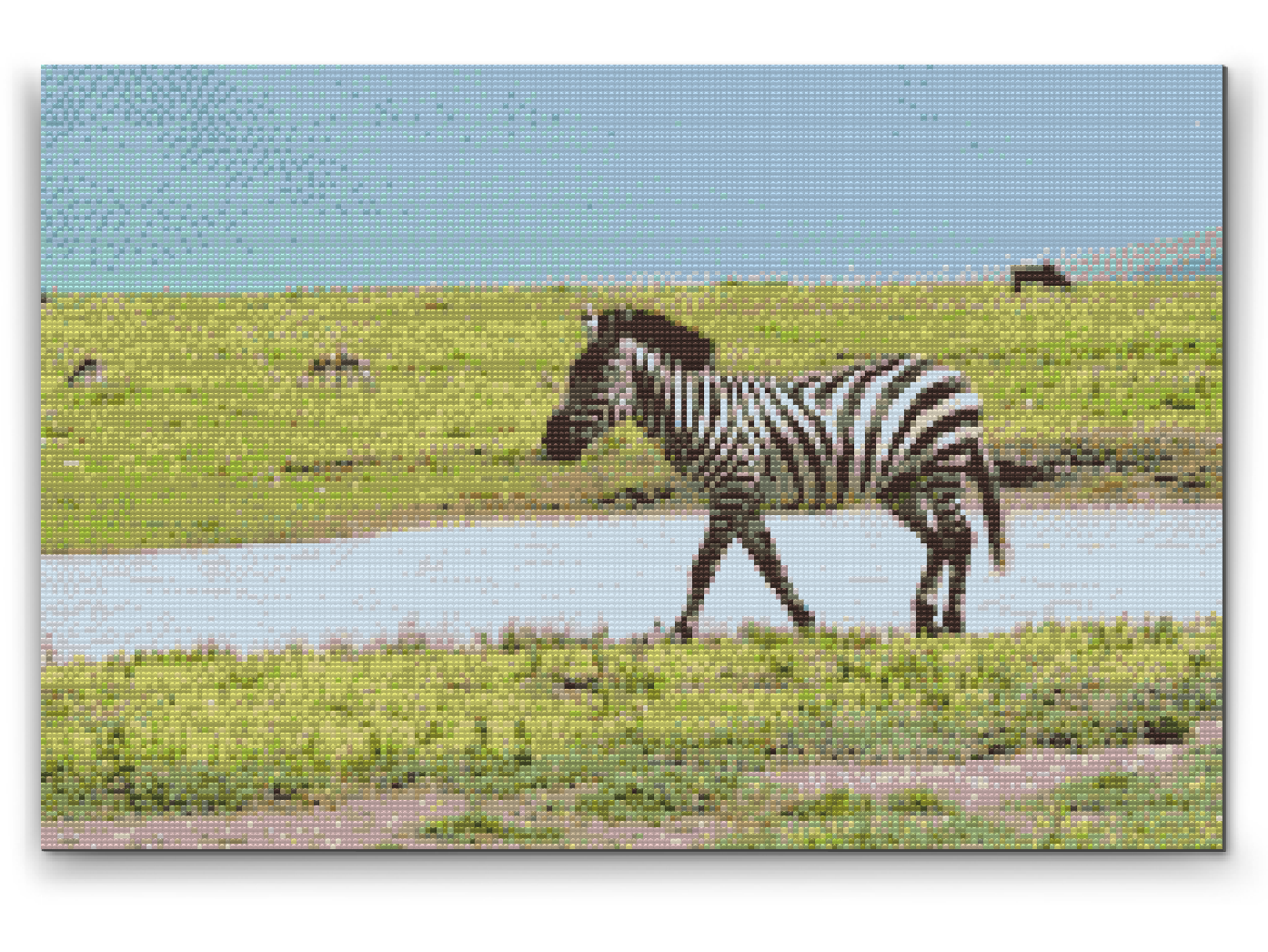Diamond Painting - Serengeti Nationalpark 2