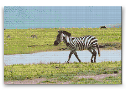 Diamond Painting - Serengeti Nationalpark 2