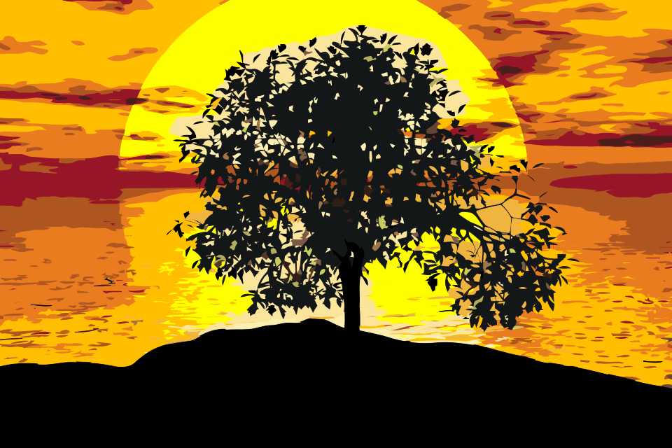Paint by Numbers - Solnedgang