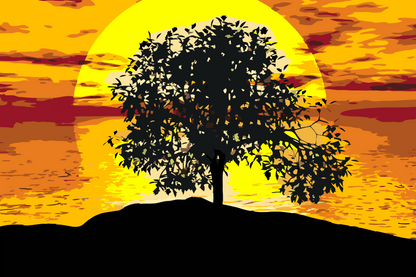 Paint by Numbers - Solnedgang