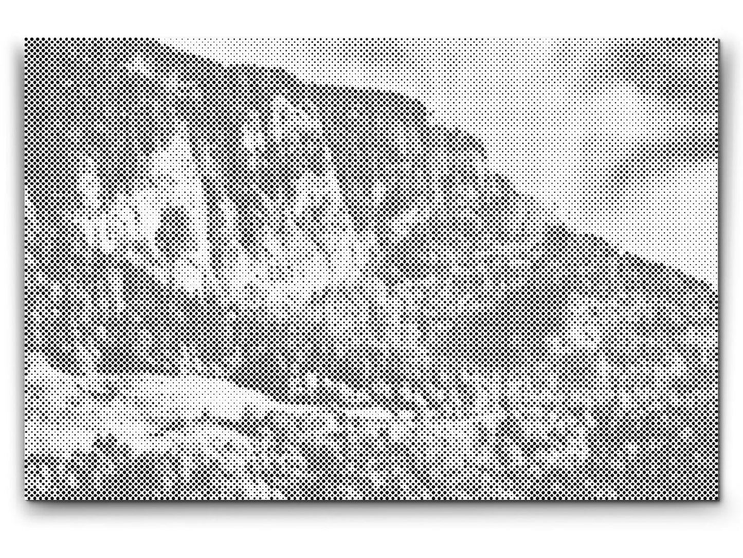 Mal-med-prikker -  Farverigt landskab – Slovenien