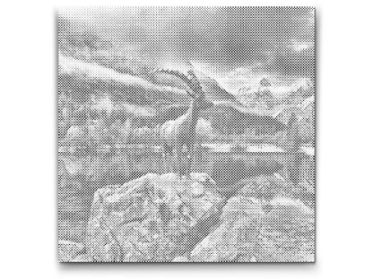 Mal-med-prikker -  Kranjska Gora – Slovenien