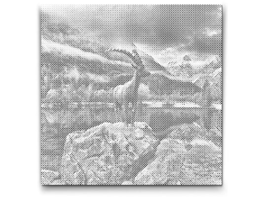 Mal-med-prikker -  Kranjska Gora – Slovenien