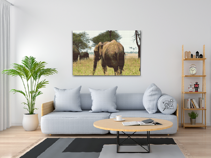 Diamond Painting - Serengeti Nationalpark