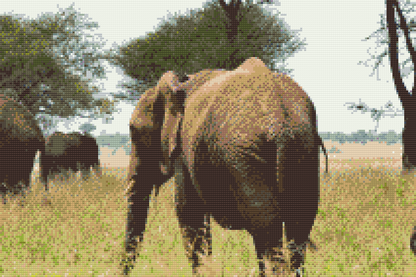 Diamond Painting - Serengeti Nationalpark