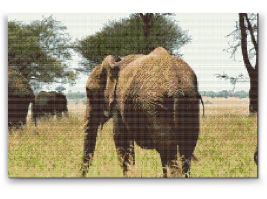Diamond Painting - Serengeti Nationalpark