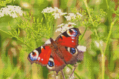 Diamond Painting - Sommerfugl i græsset