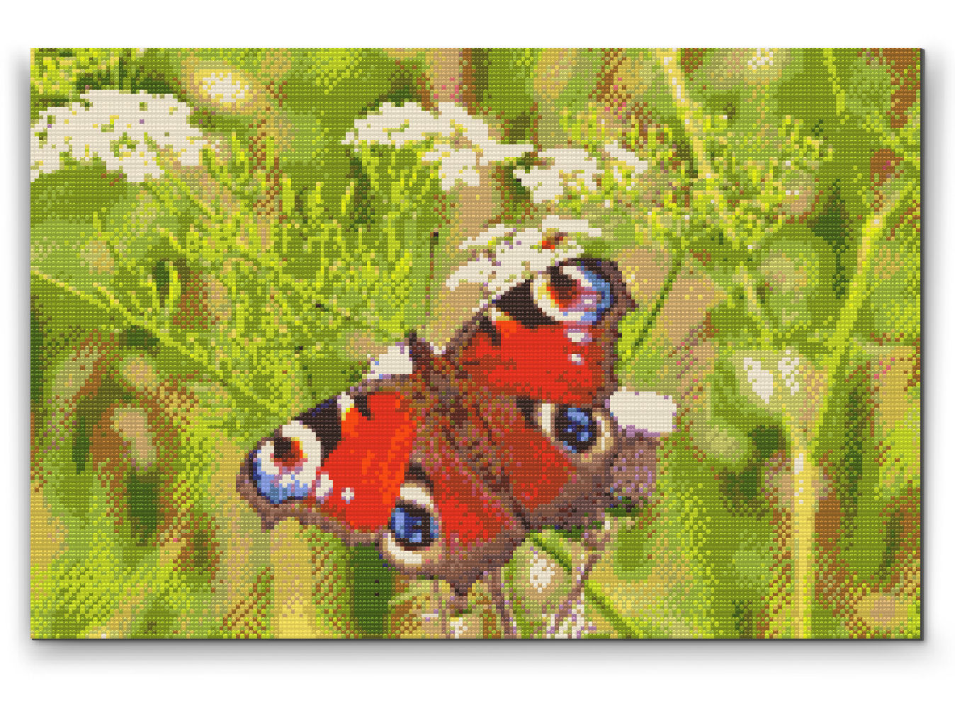 Diamond Painting - Sommerfugl i græsset