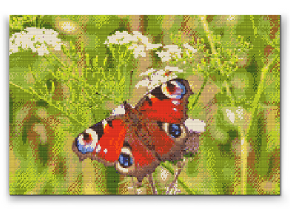 Diamond Painting - Sommerfugl i græsset