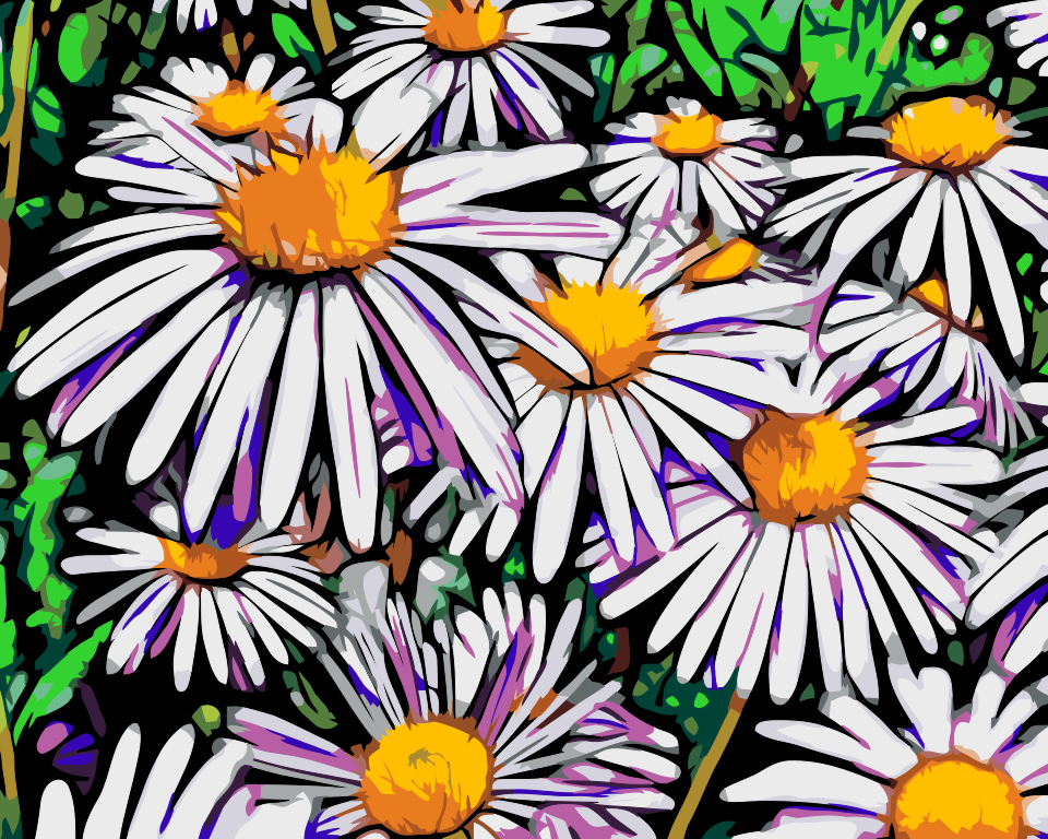 Paint by Numbers - Margueritter