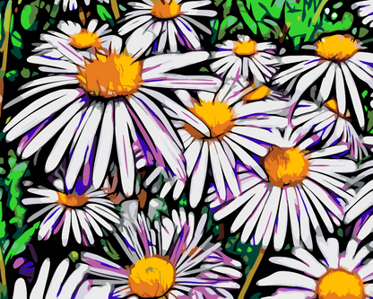Paint by Numbers - Margueritter