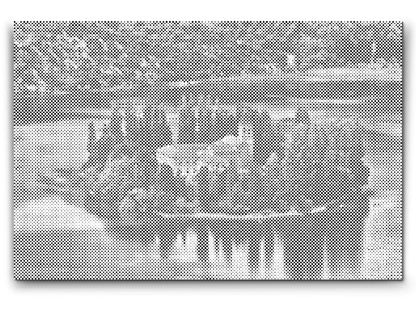 Mal-med-prikker -  Visovac-øen - Kroatien