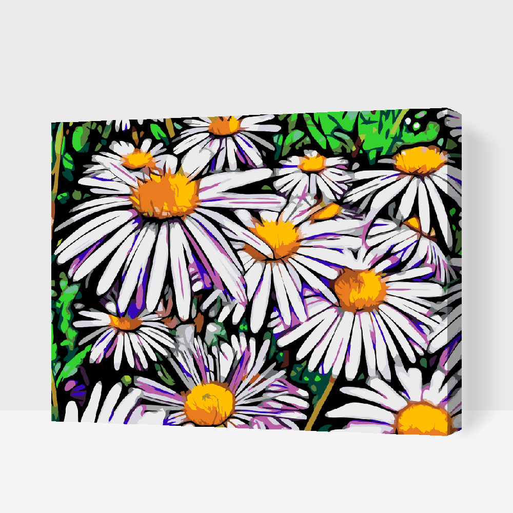 Paint by Numbers - Margueritter