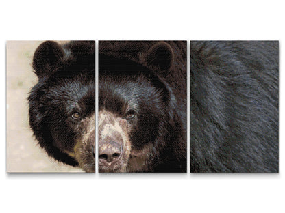 Diamond Painting - Bjørn (sæt af 3 lærreder)