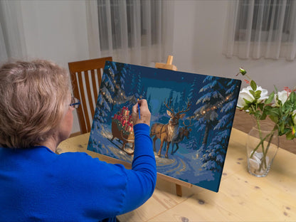Paint by Numbers - Julemandens slæde