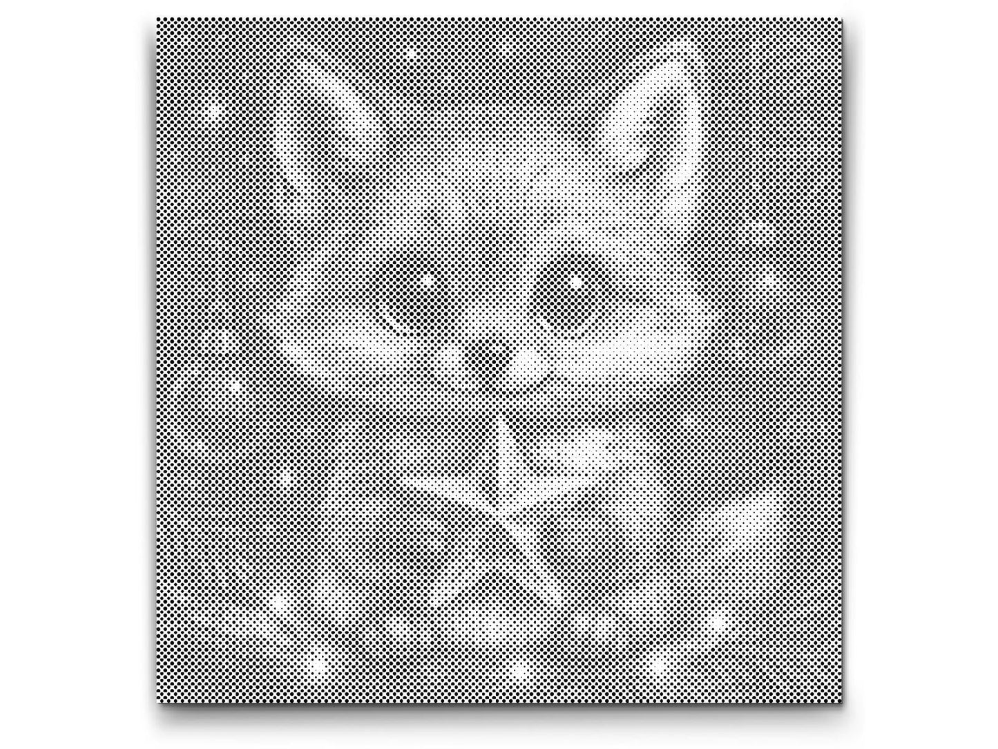 Mal-med-prikker -  Christmas Fox