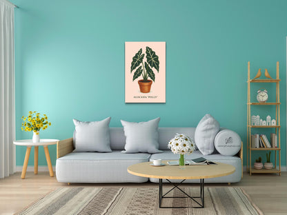 Diamond Painting - Alocasia Polly