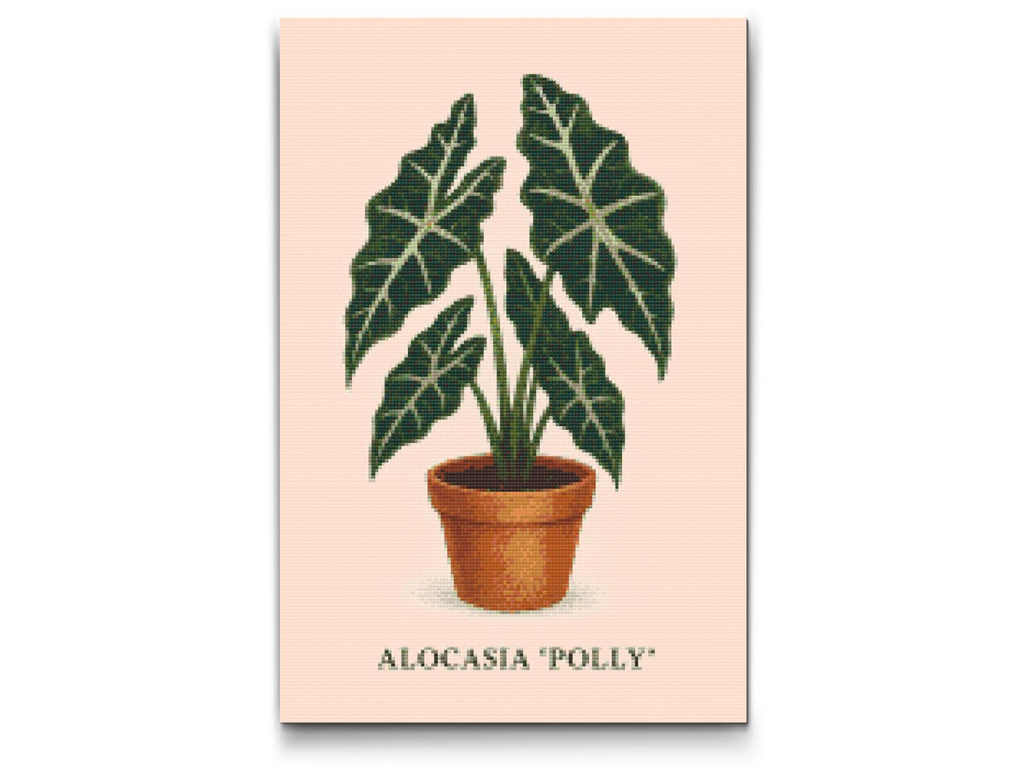 Diamond Painting - Alocasia Polly