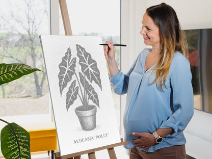 Mal-med-prikker -  Alocasia Polly