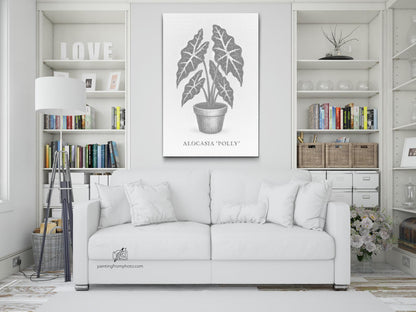 Mal-med-prikker -  Alocasia Polly