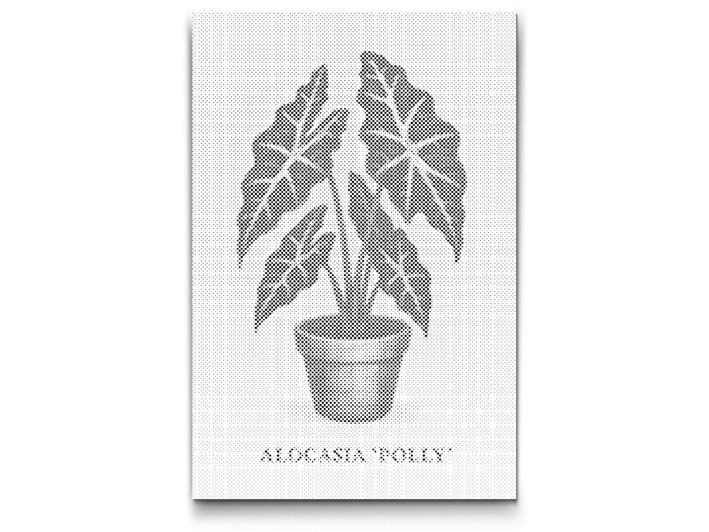 Mal-med-prikker -  Alocasia Polly