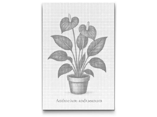 Mal-med-prikker -  Andres anthurium / Flamingoblomst