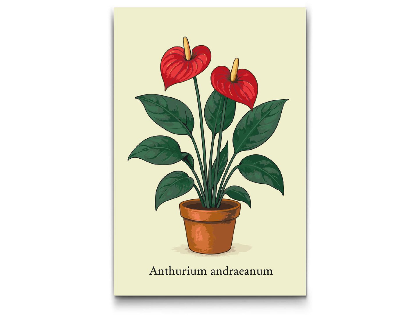 Paint by Numbers - Andres anthurium / Flamingoblomst