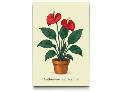 Paint by Numbers - Andres anthurium / Flamingoblomst