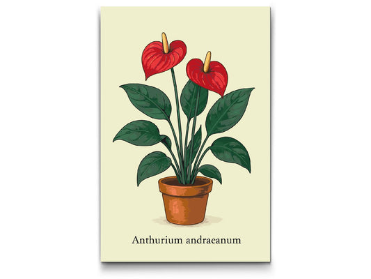 Paint by Numbers - Andres anthurium / Flamingoblomst