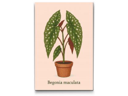 Diamond Painting - Polka Dot Begonia