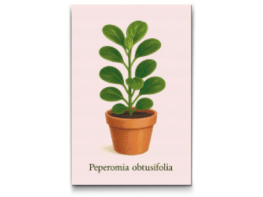 Diamond Painting - Babygummiplante