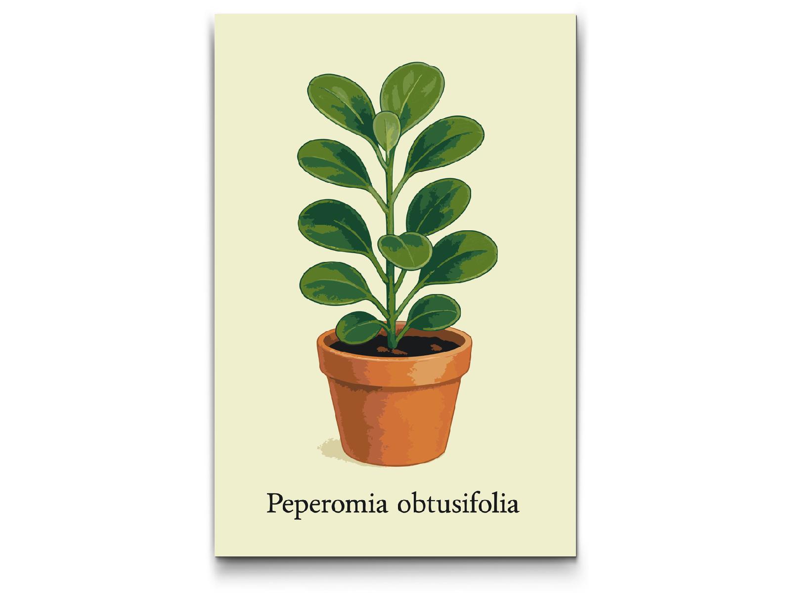 Paint by Numbers - Babygummiplante