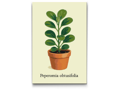 Paint by Numbers - Babygummiplante