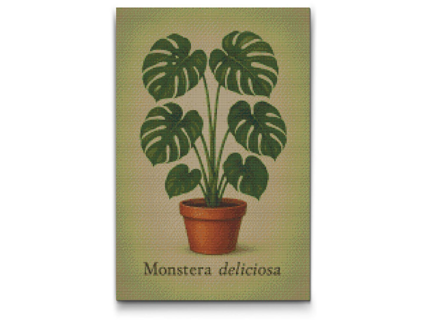 Diamond Painting - Monstera deliciosa