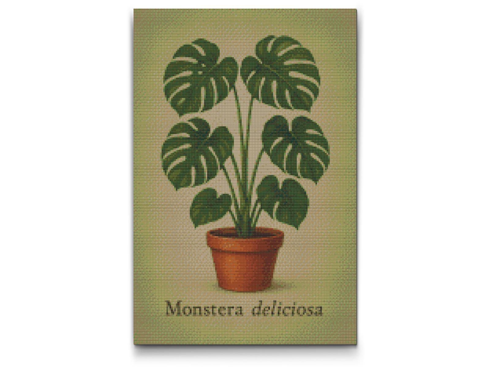 Diamond Painting - Monstera deliciosa