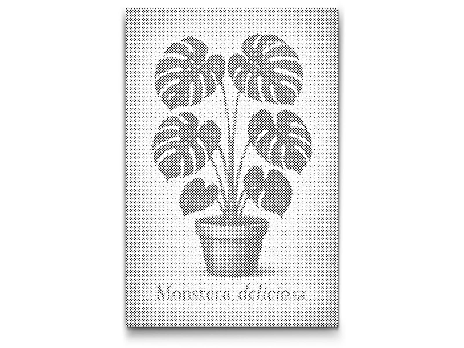 Mal-med-prikker -  Monstera deliciosa