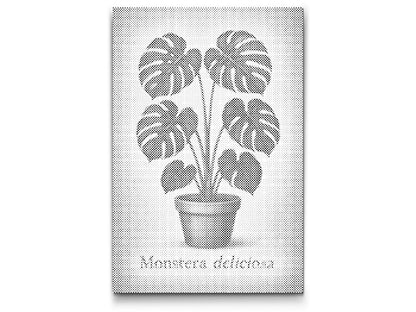 Mal-med-prikker -  Monstera deliciosa
