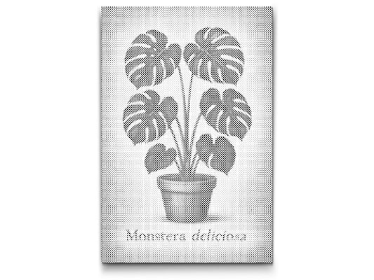 Mal-med-prikker -  Monstera deliciosa