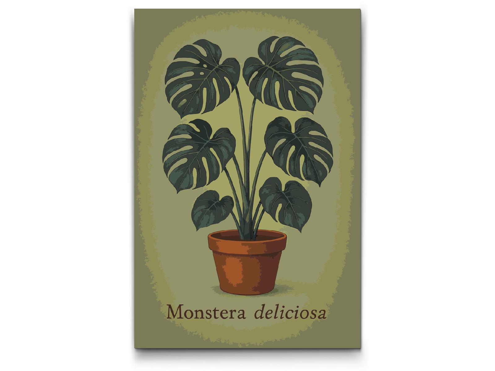 Paint by Numbers - Monstera deliciosa