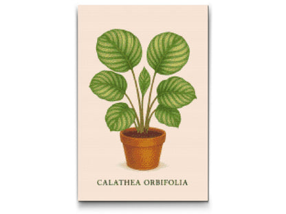 Diamond Painting - Calathea orbifolia
