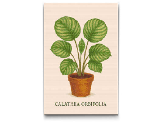 Diamond Painting - Calathea orbifolia