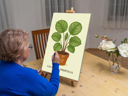 Paint by Numbers - Calathea orbifolia