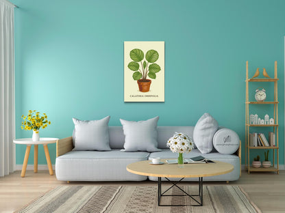 Paint by Numbers - Calathea orbifolia