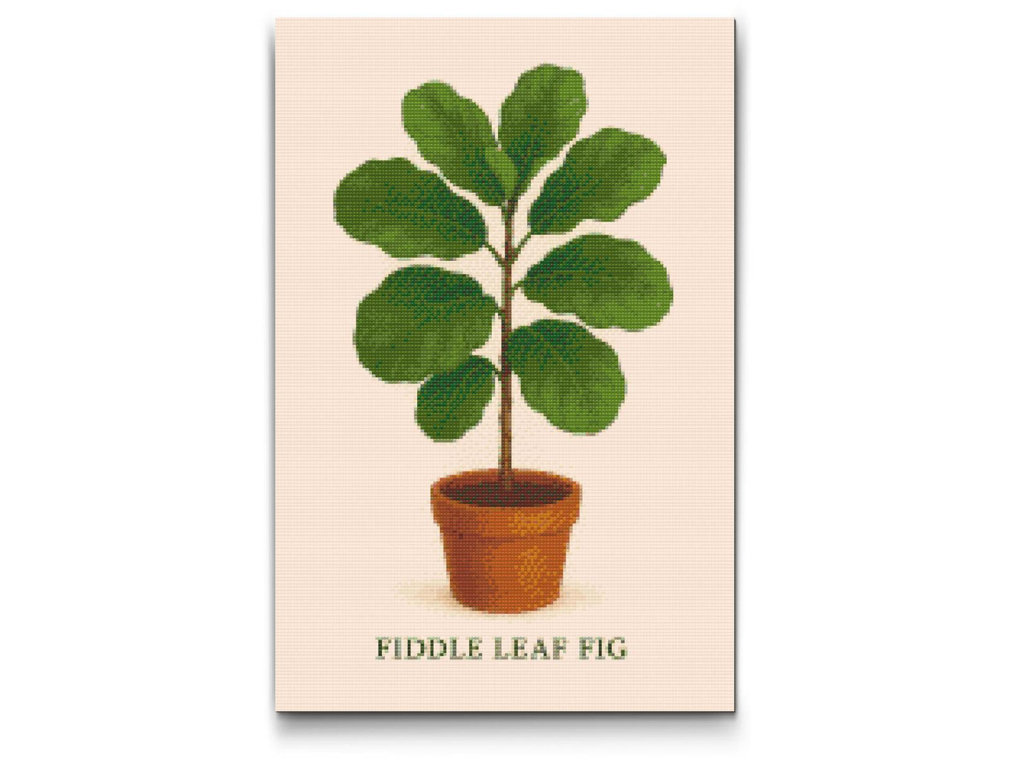 Diamond Painting - Fiddle Leaf Fig